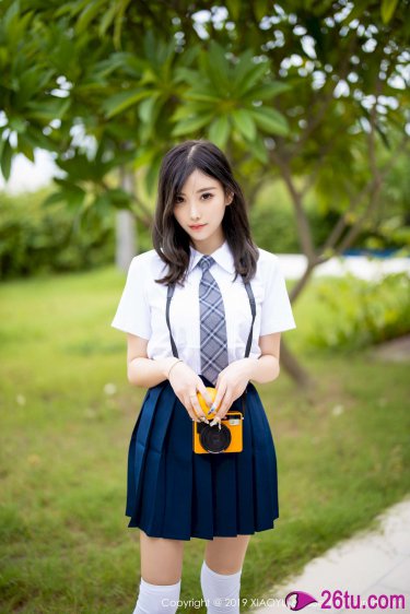 豚鼠系列