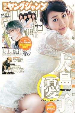 刑警2010电视剧国语版