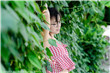火影忍者602