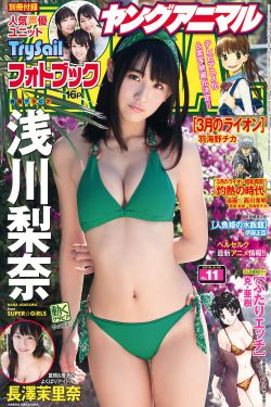 鹦鹉杀