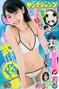 ig夺冠视频