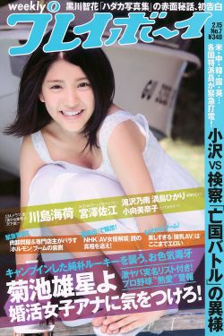 七龙珠第四部漫画