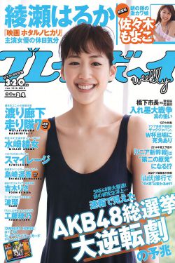 完美证据电视剧在线播放免费
