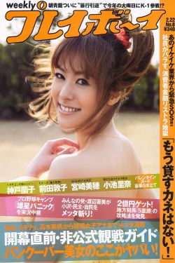盛装电视剧 剧情介绍