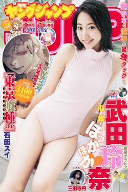 蕾丝猫