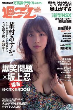 美国泑交连接